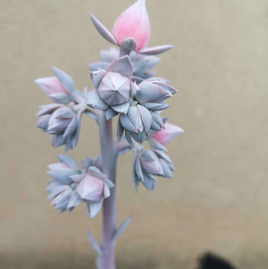 潮汐.